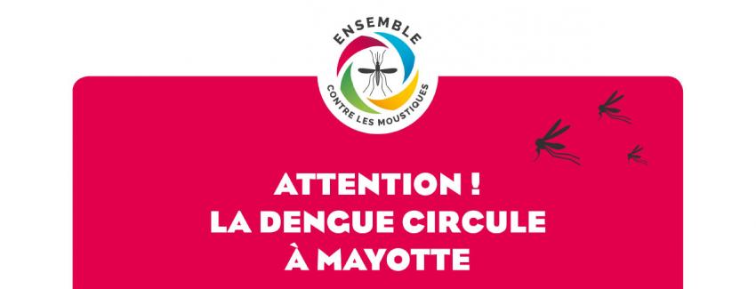 Dengue : le niveau d’alerte du plan arbovirose est déclenché