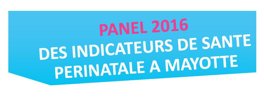 Invitation à la présentation du panel des indicateurs en santé périnatale à Mayotte