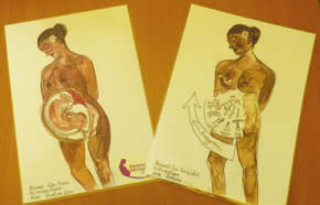 les différents stades de la grossesse ;